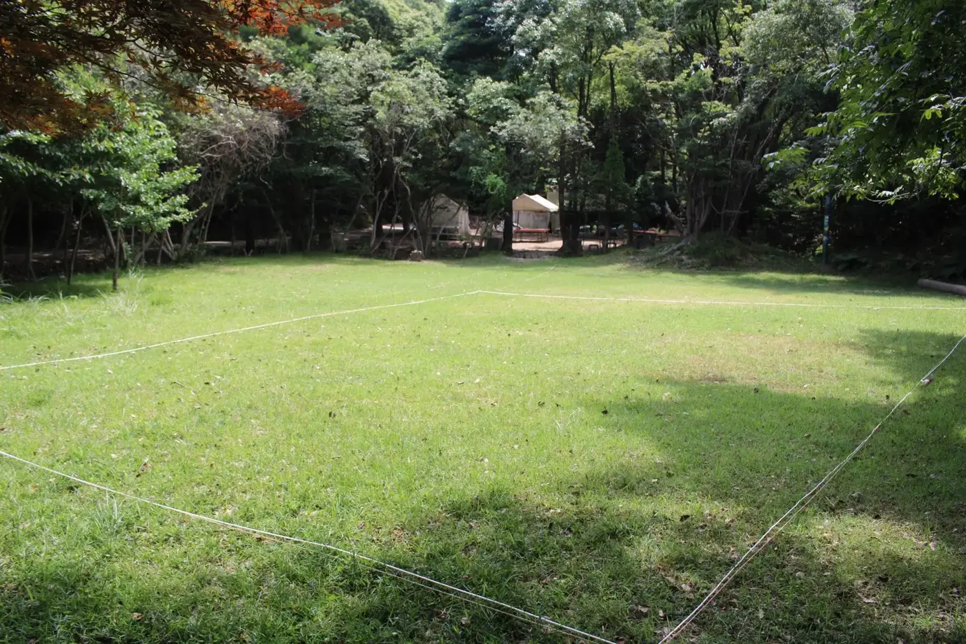 森に囲まれた芝生の広場