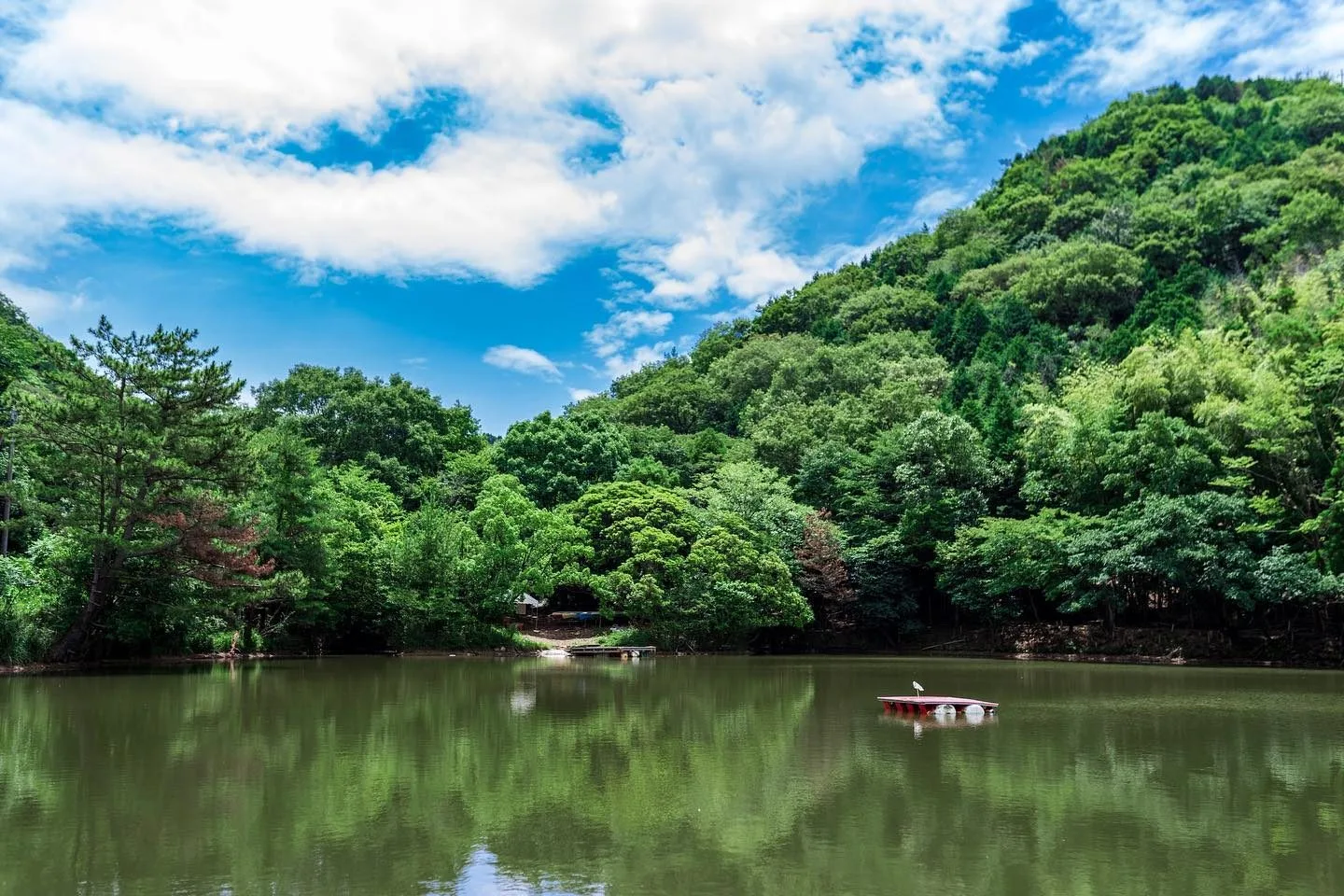 夏の青空と、森に囲まれた池