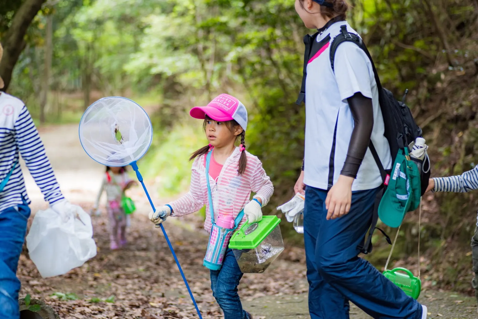 虫あみを持って森の小道を歩く子ども