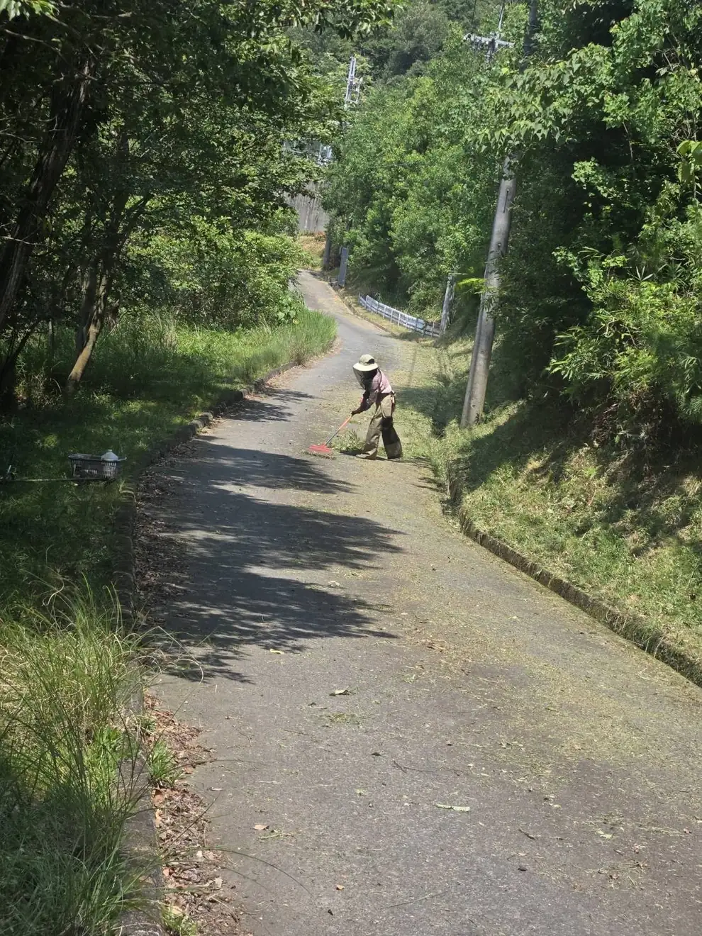 森までの細い道（車1台ぶんの幅）